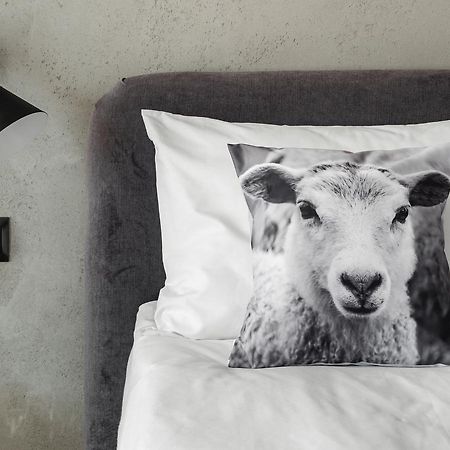Biala Owca Bed and Breakfast Zakopane Exteriör bild A cushion cover