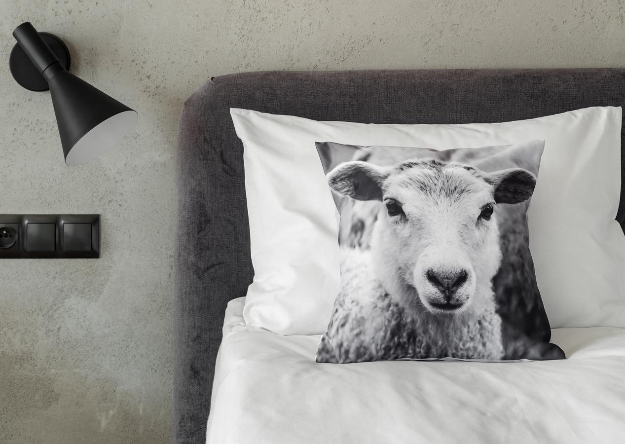 Biala Owca Bed and Breakfast Zakopane Exteriör bild A cushion cover