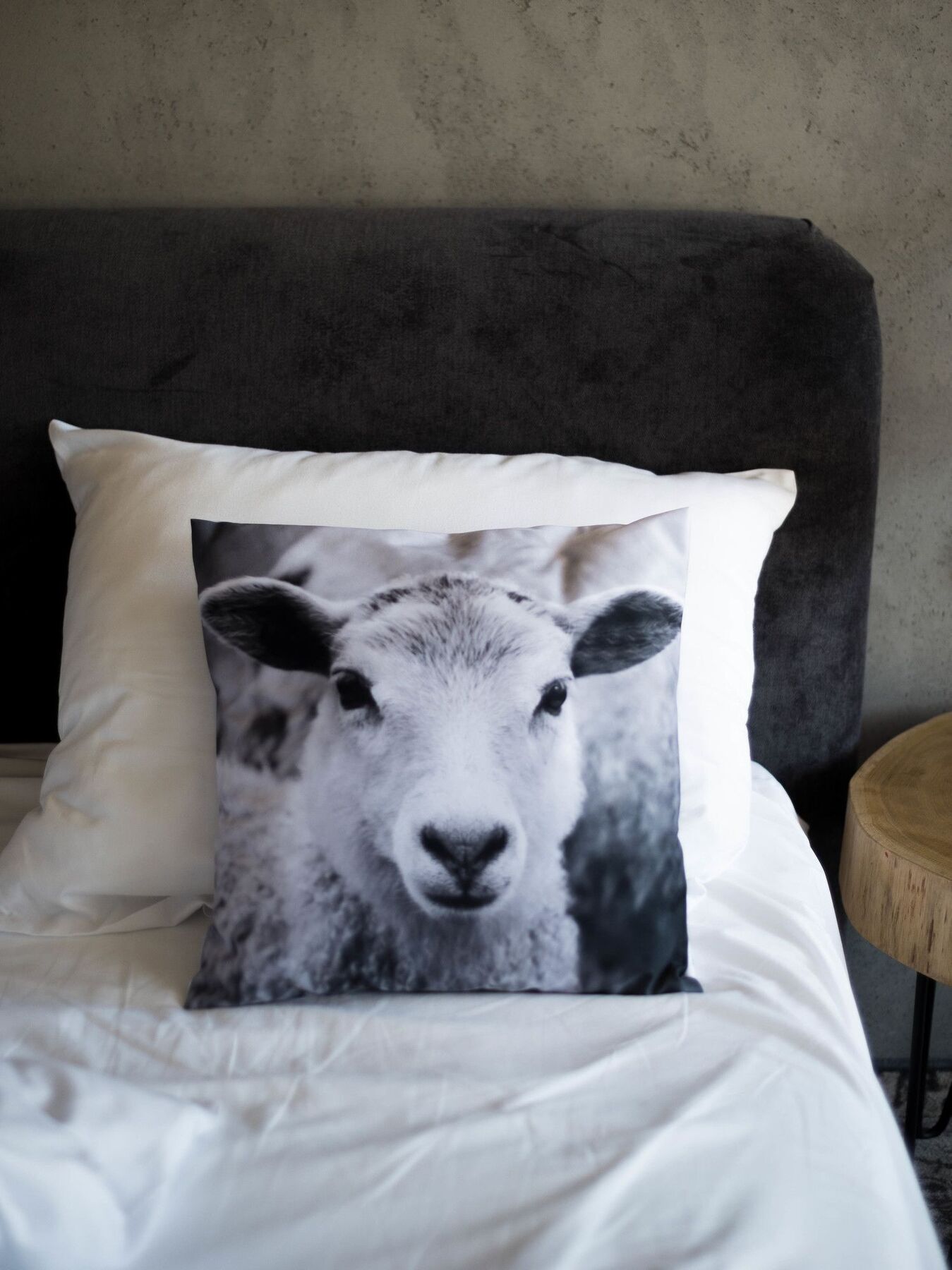 Biala Owca Bed and Breakfast Zakopane Exteriör bild A cushion